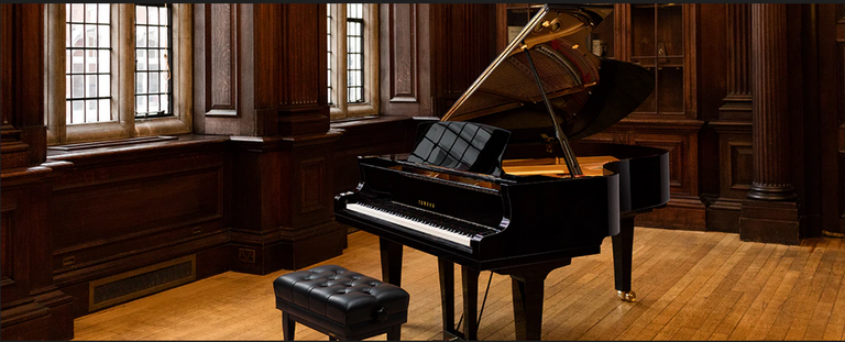 cours particuliers musique